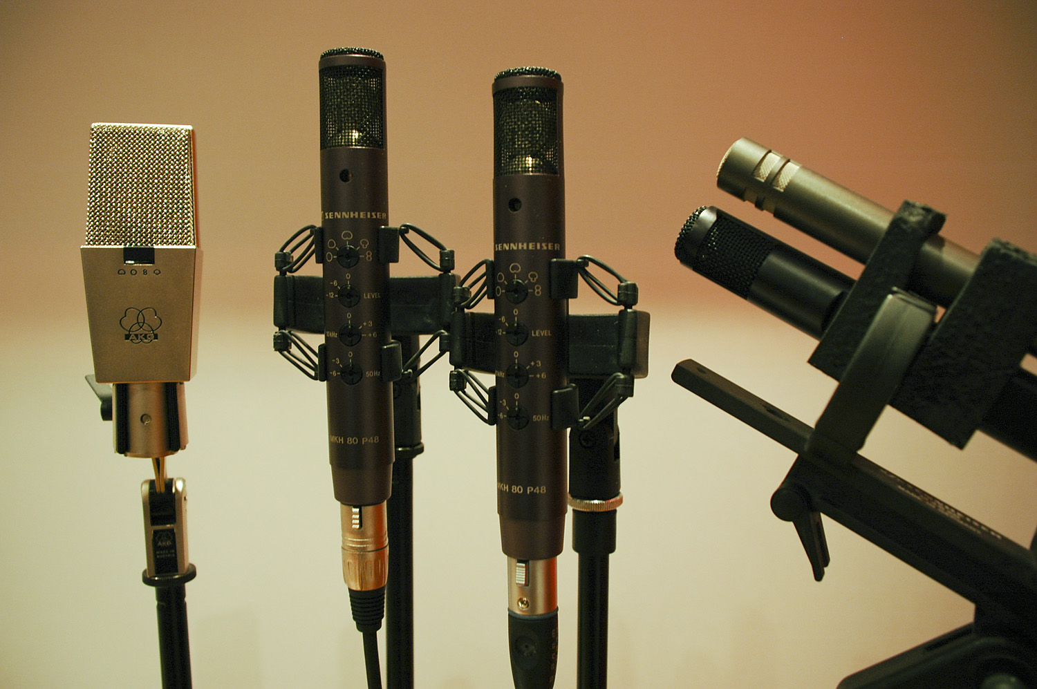 mkh80-2_small.jpg