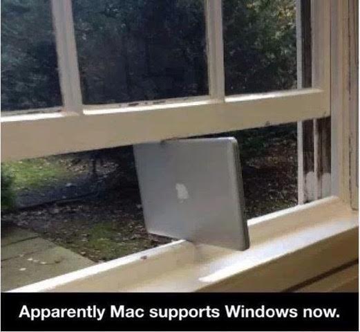 msw.jpg