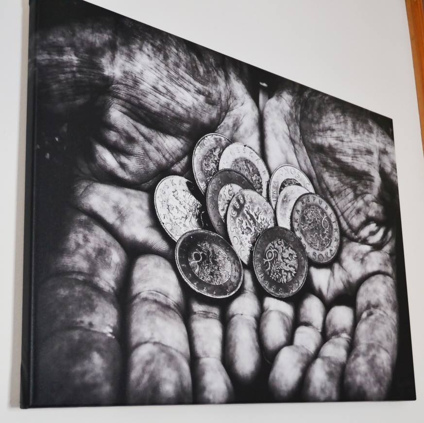 plátno 50x75cm