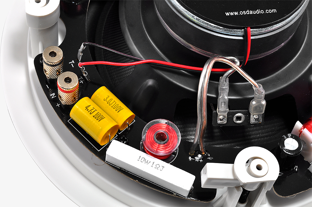 alternativny speaker.jpg