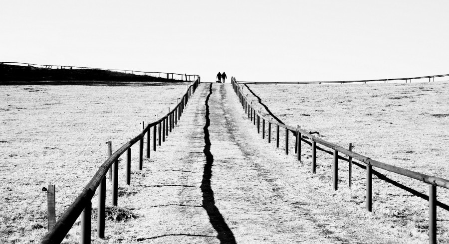 horizont.jpg